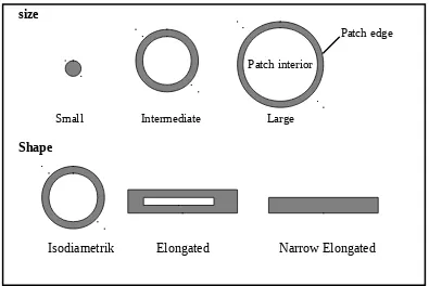Gambar 3.  Interior dan Edge berdasarkan ukuran bentuk patch