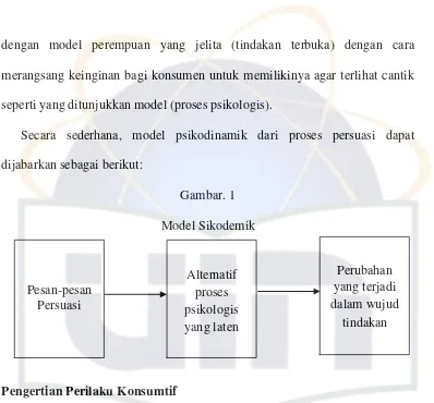 Gambar. 1 Model Sikodemik 