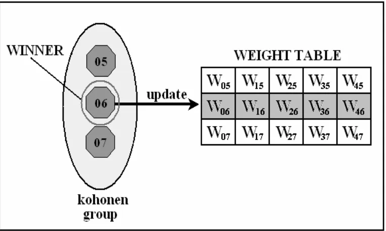 Figure 7: The update of the synaptic weights associated with the winning process  