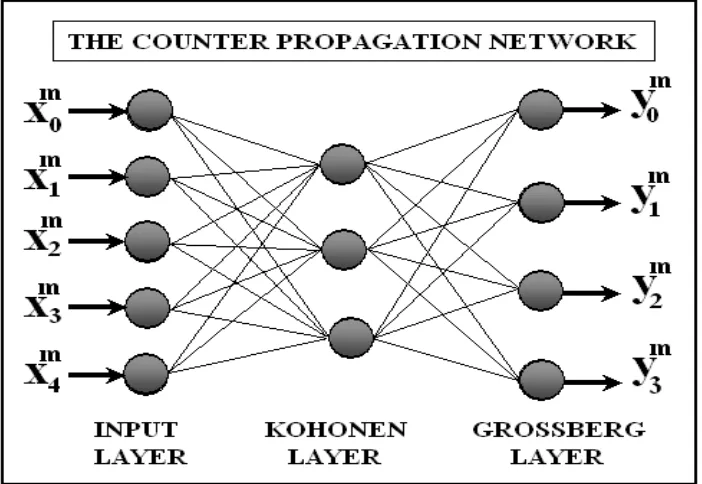 Figure 1: A typical counter – propagation network 