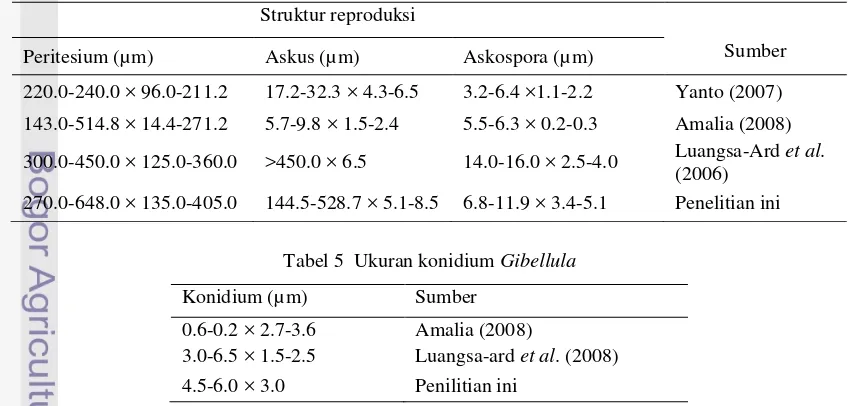 Tabel 5  Ukuran konidium Gibellula 