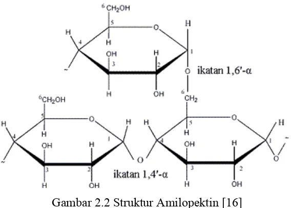 Gambar 2.2 Struktur Amilopektin [16] 