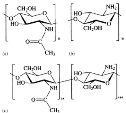 Gambar 1. Struktur kimia pengulangan unit dari (a) kitin, poly (β-N-acetyl-D-