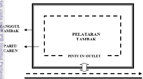 Gambar 9  Model tambak konvensional (tanpa adanya mangrove) Di Desa Dabong.  