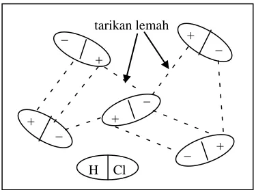 Gambar  :  Tarikan lemah antar molekul polar HCl. 