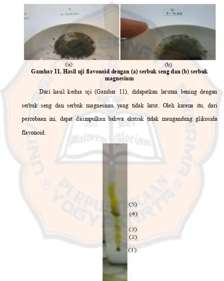 Gambar 11. Hasil uji flavonoid dengan (a) serbuk seng dan (b) serbuk 