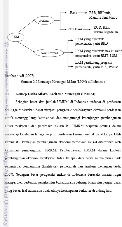 Gambar 2.5 Lembaga Keuangan Mikro (LKM) di Indonesia 