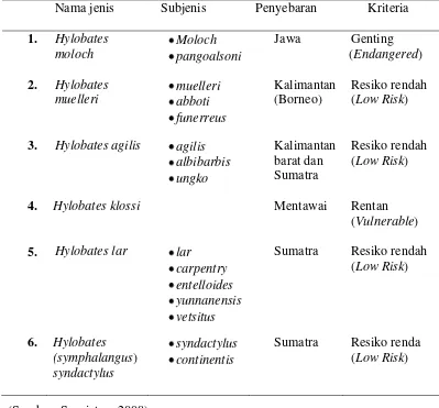 Tabel.2 Genus Hylobates yang terdapat di Indonesia  