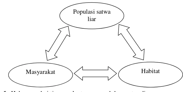 Gambar 5.  Hubungan dari tiga aspek utama pengelolaan satwa liar (Populasi Satwa Liar -Habitat-Masyarakat) (Giles, 1978) dalam (Wiratno et al