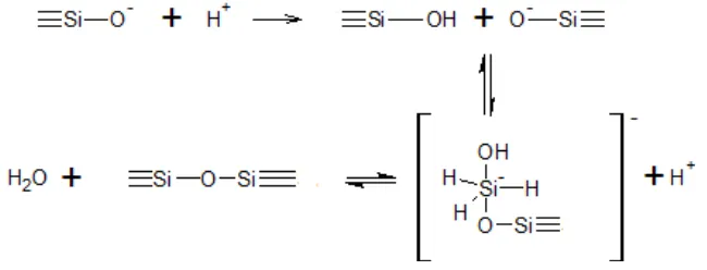 Gambar 10. Mekanisme reaksi pembentukan ikatan siloksan 