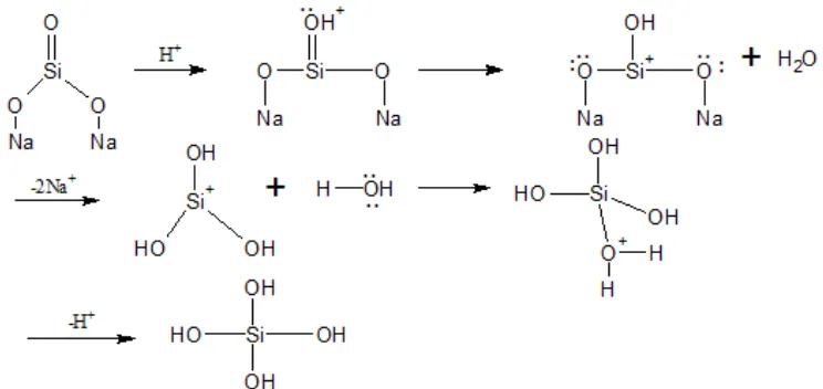 Gambar 11. Mekanisme reaksi pembentukan asam silikat 