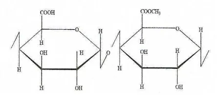 Gambar 2.3. Struktur kimia pektin 