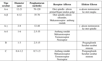 Tabel 2. Perbedaan serabut saraf A-delta dan C9 
