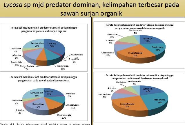 Gambar 4.9. Rerata kelimpahan relatif predator utama di setiap minggu pengamatan pada MT II pada sawah surjan organik dan konvensional 