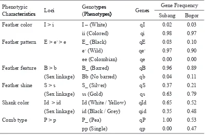 Table 1. Frequency Dstrbuton of Phenotype Characterstcs nle 1.  Frequency Dstrbuton of Phenotype Characterstcs n Legund Chckens found n Subang and Bogor Dstrct Populatons, West Java, Indonesa 