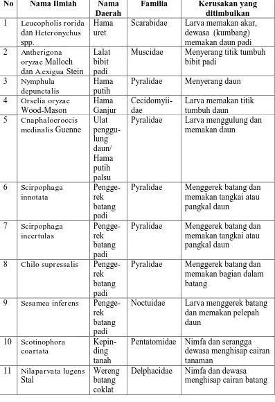 Tabel 1.  Jenis-jenis serangga hama pada tanaman padi sawah dan kerusakan yang ditimbulkan No Nama Ilmiah Nama Familia Kerusakan yang 
