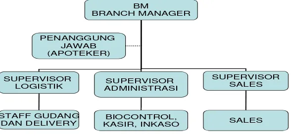 Gambar 1. Struktur Organisasi PBF ’X’ 