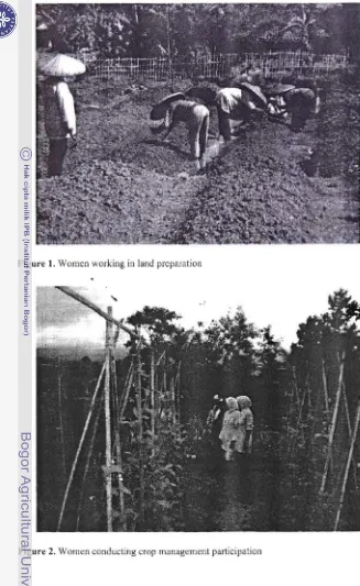 Figure 1. Women working in land preparation 