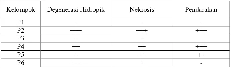 Tabel 4.4 Evaluasi histopatologi hati mencit akibat induksi parasetamol pada     tiap kelompok perlakuan   