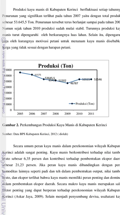 Gambar 2. Perkembangan Produksi Kayu Manis di Kabupaten Kerinci 