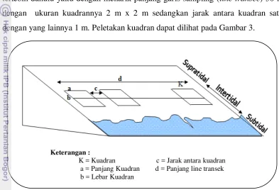 Gambar 3.  Sketsa Peletakan Sampling Kuadran 