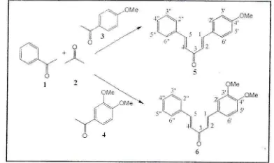 Table l). methoxvphetryi)-5-pherryi-i..1-pentadiene-3-one) Theretirre compouncl 5 is (1(E),a(E)-l-(4'-oracetone.