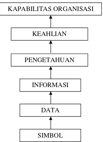 Gambar 1. Hierarki Pengetahuan Liebowitz & Beckman (Munir, 2008) 