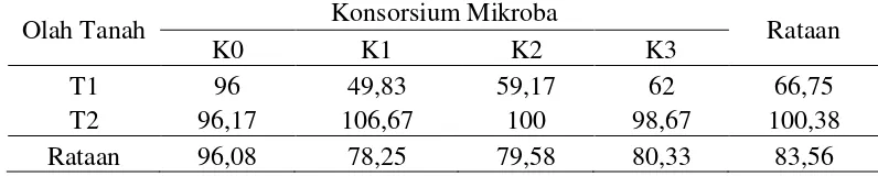 Tabel 3. Rataan jumlah bintil akar pada perlakuan olah tanah dan pemberian konsorsium mikroba 