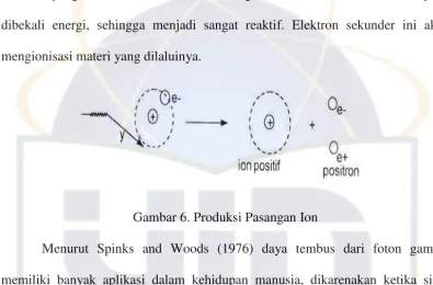 Gambar 6. Produksi Pasangan Ion 