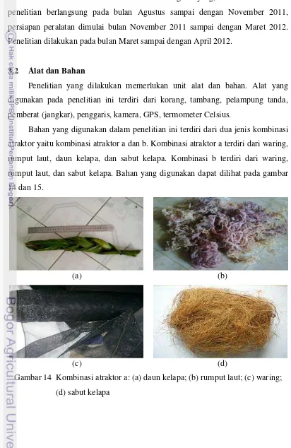 Gambar 14  Kombinasi atraktor a: (a) daun kelapa; (b) rumput laut; (c) waring;  
