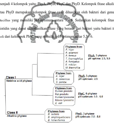 Gambar 7. Klasifikasi fitase berdasarkan analisis sekuens dan biokimia fitase  menurut Oh et al