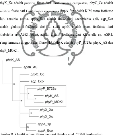 Gambar 8. Klasifikasi gen fitase menurut Sajidan  et al. (2004) berdasarkan kontruksi pohon filogenetik dari fitase HAP