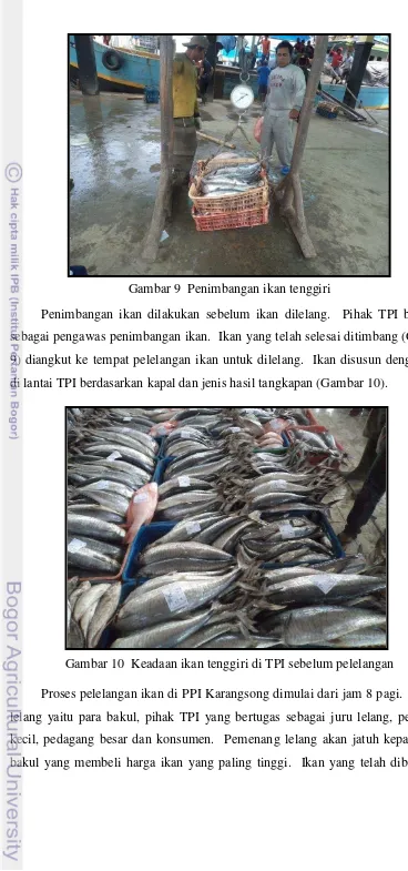 Gambar 10  Keadaan ikan tenggiri di TPI sebelum pelelangan 