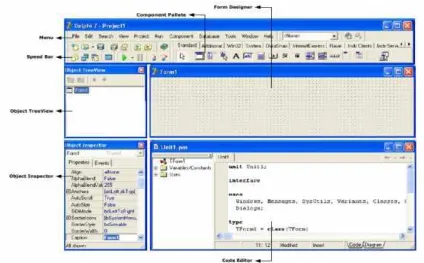 Gambar 2. Interface Borland Delphi