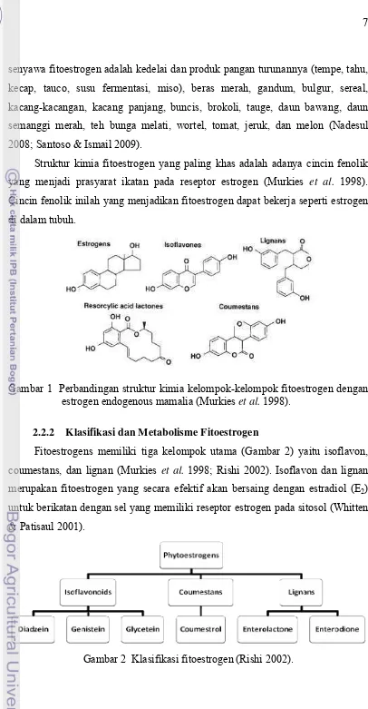 Gambar 1  Perbandingan struktur kimia kelompok-kelompok fitoestrogen dengan 