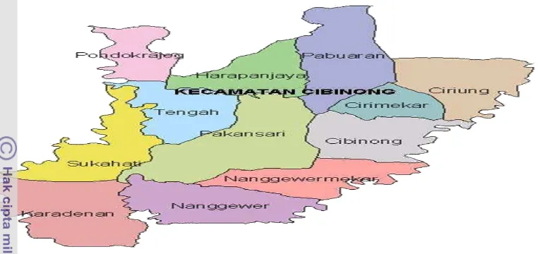 GAMBARAN UMUM KABUPATEN BOGOR - The Role Of Cibinong Subdistrict As The ...