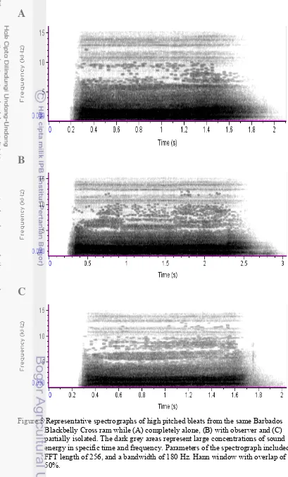Figure 8 Representative spectrographs of high pitched bleats from the same Barbados 