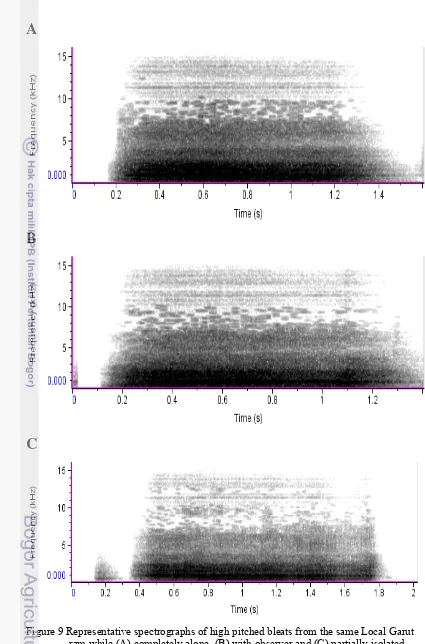 Figure 9 Representative spectrographs of high pitched bleats from the same Local Garut ram while (A) completely alone, (B) with observer and (C) partially isolated