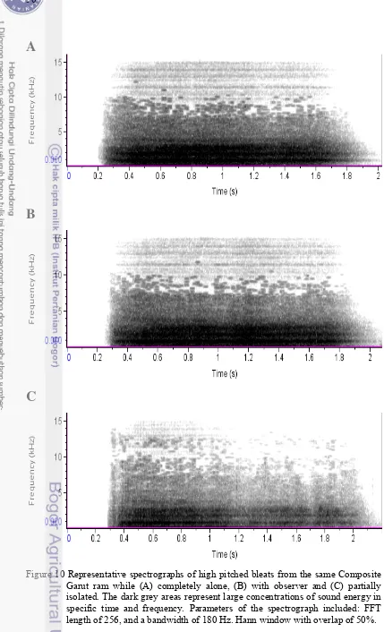 Figure 10 Representative spectrographs of high pitched bleats from the same Composite Garut ram while (A) completely alone, (B) with observer and (C) partially isolated