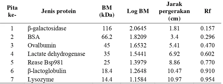 Tabel 3. Nilai mobilitas relatif (Rf), logaritma berat molekul (Log BM) dan berat molekul protein standar 