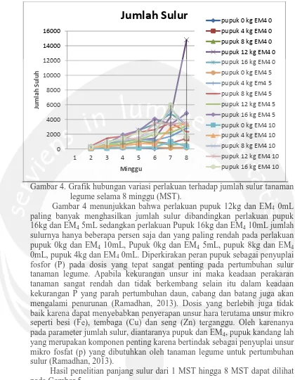 Gambar 4. Grafik hubungan variasi perlakuan terhadap jumlah sulur tanaman  legume selama 8 minggu (MST)