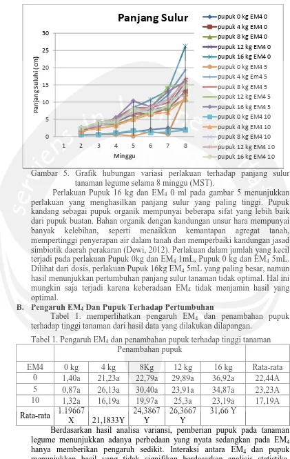 Gambar 5. Grafik hubungan variasi perlakuan terhadap panjang sulur  tanaman legume selama 8 minggu (MST)