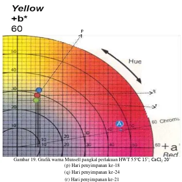 Gambar 19. Grafik warna Munsell pangkal perlakuan HWT 55oC 15’; CaCl2 20’ 