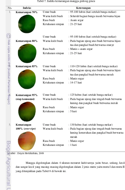 Tabel 7. Indeks kematangan mangga gedong gincu 