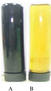 Gambar 2. Minyak nyamplung kasar (A) dan minyak yang telah dimurnikan (B) 