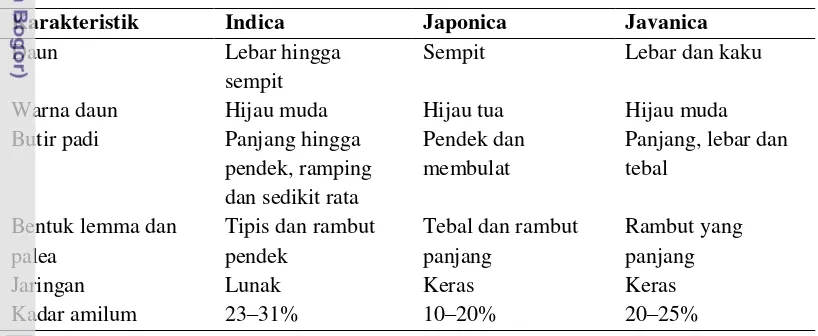 Tabel 2 Perbedaan morfologi padi indica, japonica, dan javanica 