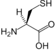 Gambar 1.  Struktur molekul  Sistein (Cys) 