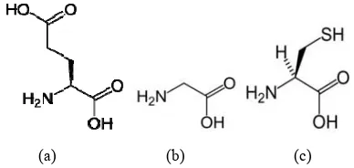 Fig. 1 (a) LL-Glutamic Acidd, (b) Glycine, aand (c) Cysteinne 