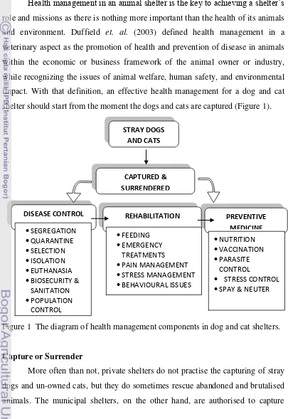 Figure 1  The diagram of health management components in dog and cat shelters. 