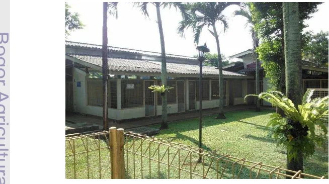 Figure 6  Spacious housing for dogs at the SPCA Selangor 